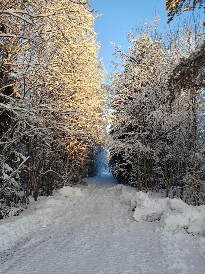 Schnieders2German Forest Room Harmånger المظهر الخارجي الصورة