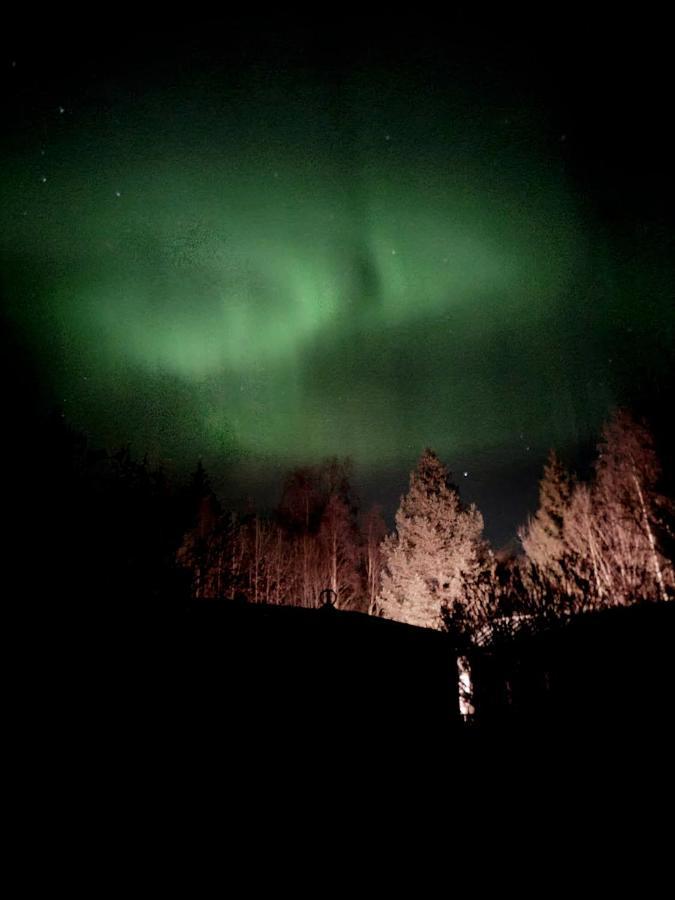 Schnieders2German Forest Room Harmånger المظهر الخارجي الصورة